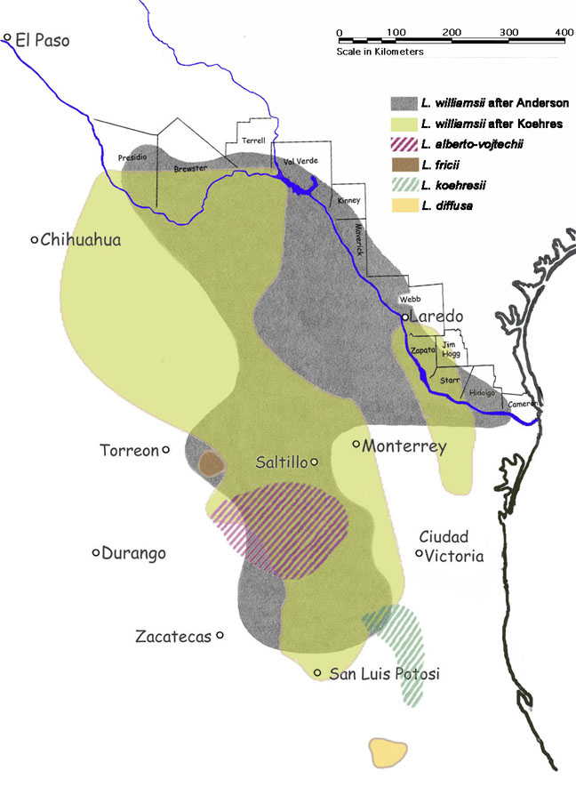 the distribution of Lophophora